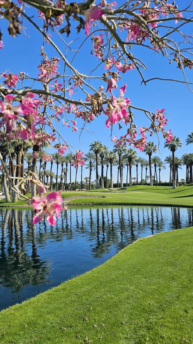JW MARRIOTT DESERT SPRINGS RESORT AND SPA, PALMS COURSE!. The perfect weather you come to expect in Palm Springs during December. The Palms course had just completed overseeding and was in excellent condition. Snow capped mountains highlight the panoramic views. Palms and mountains, perfect combo. Thanks to JW Marriott, visitgreaterpalmsprings, and the great staff at the resort.  Nothing like a solid round of golf, lingering in hot tub afterwards and meeting old friend Ken Van Vechten and lovely wife for dinner. Blessed!! Grateful 🙏 #golfstagram #golfcontentnetwork #instagolf #couplesgoals #golf #jwmarriott #jwmariottdesertsprings #marriottgolf #vistgreaterps #palmsprings #California #tifosi #shotscope #sqairzgolf #vicegolf #ducadelcosma #@tristategolfmag #viceusa #traveling #beautifuldestinations #couplesgolf #holiday #Christmas