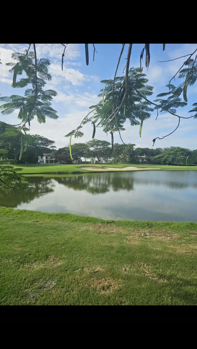 What a wonderful day playing The Buenaventura Golf Club at Buenaventura Golf Resort in Panama. This Jack Nicklaus design was in perfect condition and light breeze helped with the humidity. 
I couldnt resist Van Halen "Panama". 
Exciting news that another 18 will open @December2027. A Robert Trent Jones II design. 
We previewed a few holes. A great one two punch in Panama. This property is amazing with several restaurants and spa. Private ⛱️ 
Lots of exotic birds around the exquisite houses that line the fairways. The trees are incredible. 
#golfcontentnetwork #instagolf #couplesgoals #beautifuldestinations #panama