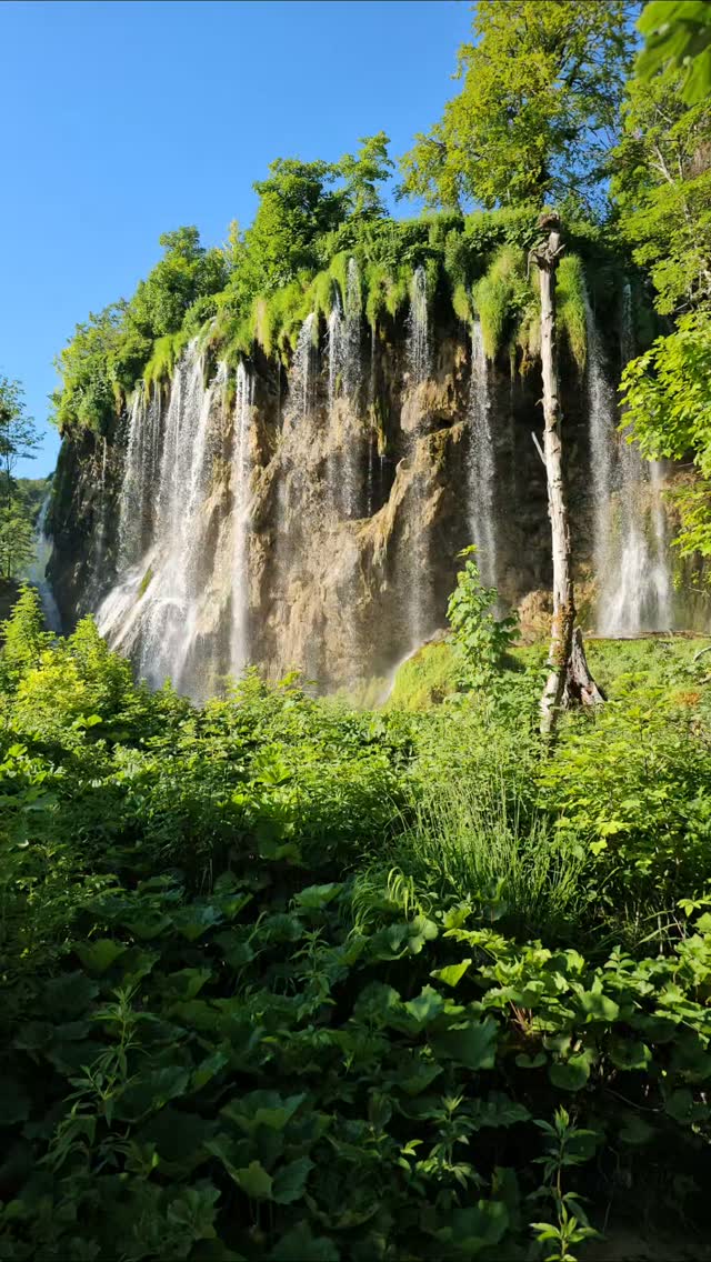 PLITVICE NATIONAL PARK PART 2
After getting our rest from previous day, we set out early to beat the crowd and explored upper lakes.
It was so peaceful and serene. It is hard to describe the clearness of the water. It was against the rules to get in the water, but, most people wanted to do just that! Ha 

This concluded our adventures in Croatia. From the mountains to the sea, we enjoyed the natural beauty of Croatia. It has so many places to explore. Pick a spot, set anchor, the world is your oyster. 

Split, Dubrovnik, and PLITVICE NATIONAL, thanks for the memories. 
#golfcontentnetwork #couplesgoals #beautifuldestinations #instagolflife #travelingram