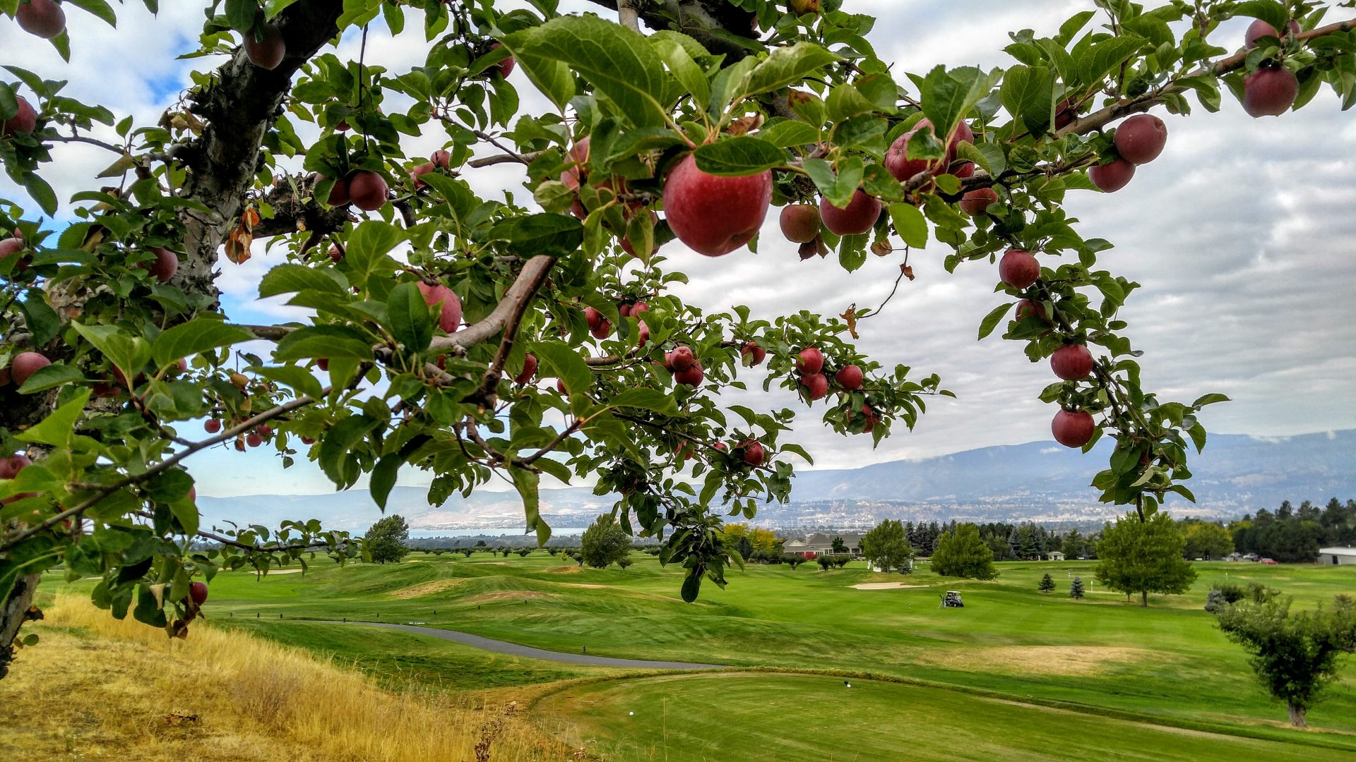 Kelowna America’s Golfing Couple