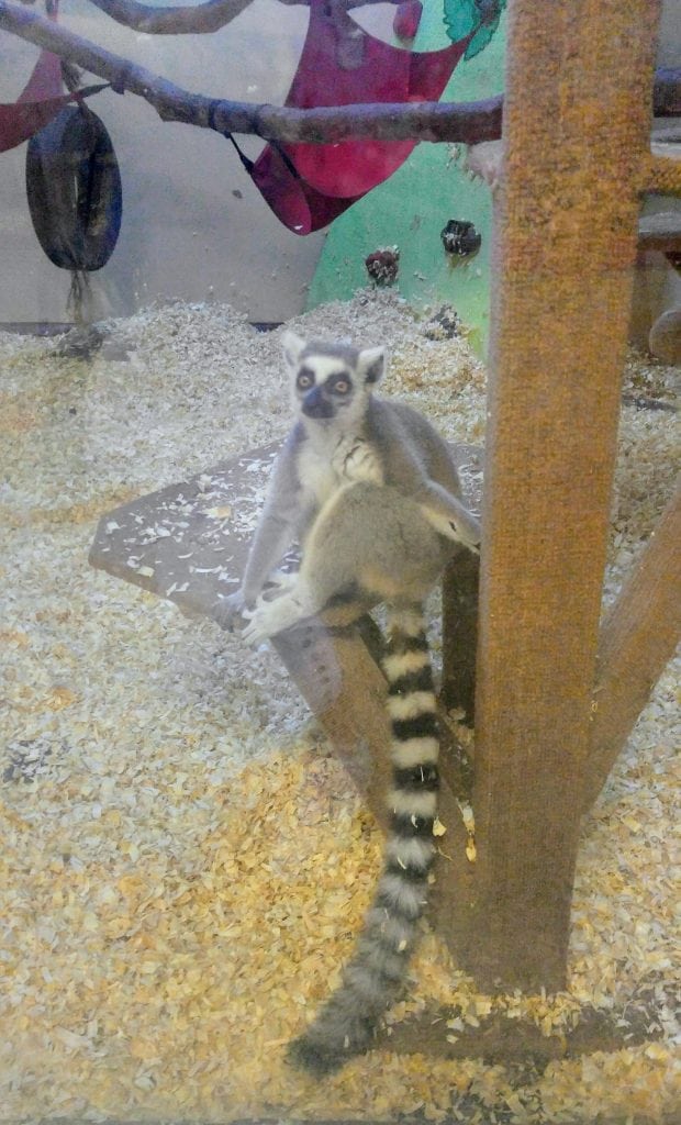 Nemacolin Woodlands Resort America’s Golfing Couple