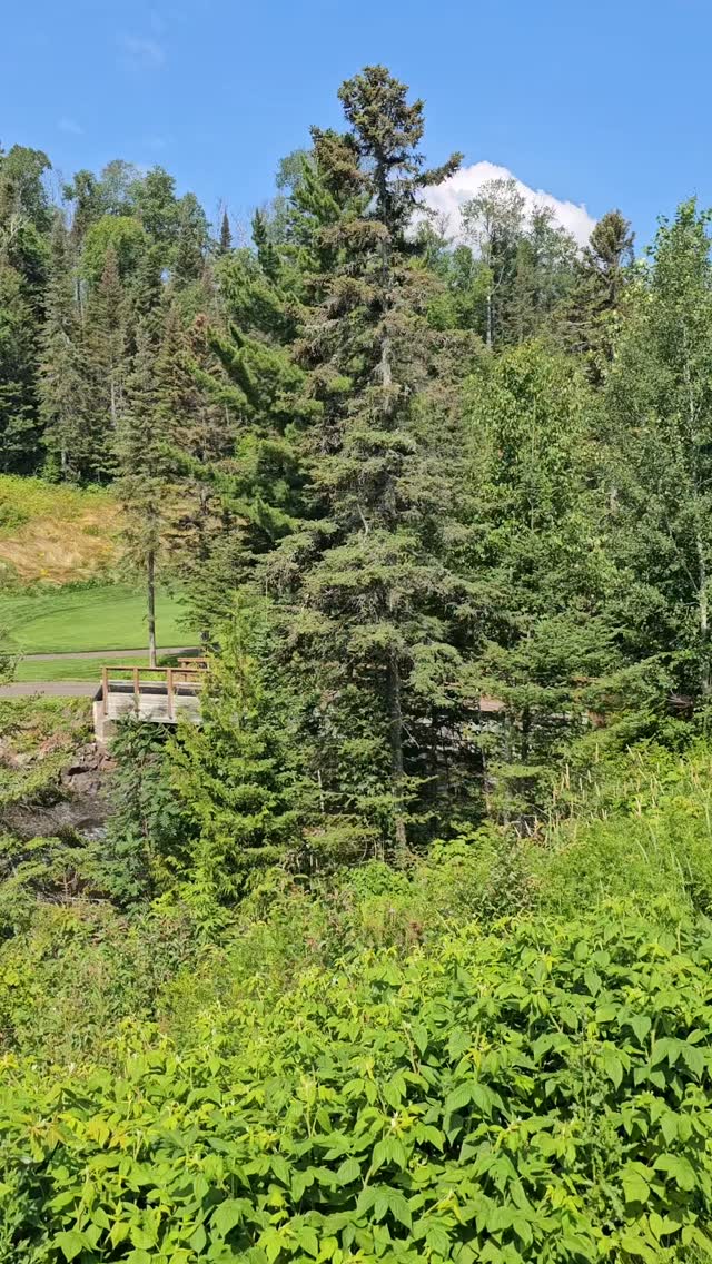 Alice nails her tee shot over Poplar River. Thanks Vice Golf! A must play on our Minnesota Golf Trail. #golfstagram #golfcontentnetwork #instagolf #instagolfers #couplesgoals #golf #beautifuldestinations #instagolflife #travelingram #vicegolf #viceusa #superiornatiionalgolf #golfminnesota #ducadelcosma #shotscope #tifosisunglasses #tristategolf #traveltheworld #travelandleisure #travellife #discover #mountains #lakesuperior