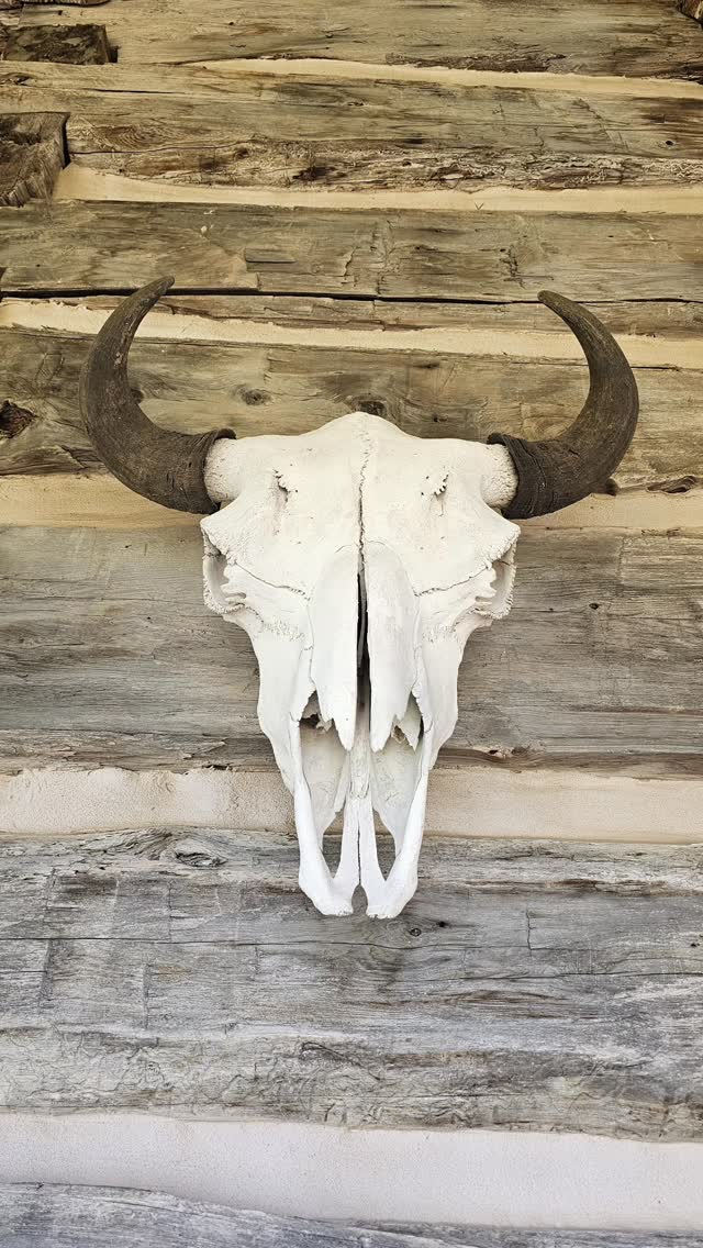 Arrived in Branson for the Big Cedar Golf. Our first test was the difficult, Ozark National. This hilltop beast provides challenge for all skill levels. Wild turkey and pheasant were the gallery of the day. Played with Brian Weis and Joe Burkart. Light breeze and plenty of sunshine 🌞 

The clubhouse is amazing with an outdoor bar that was added since our last visit. Shot 71, my 14th time to shoot my age or better. Wahoo!
#golfstagram #golfcontentnetwork #beautifuldestinations #couplesgoals #instagolf